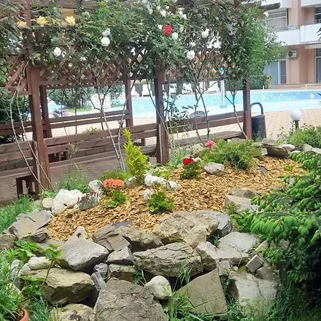 Apartment Lovely 3 New Furnished Kamelia Sunny