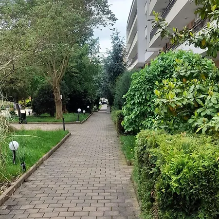 Apartment Lovely 3 New Furnished Kamelia Sunny *