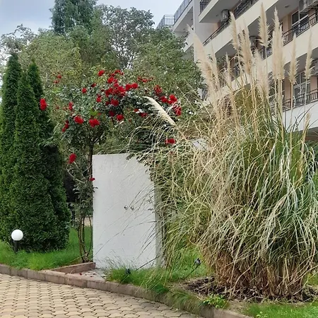 Apartment Lovely 3 New Furnished Kamelia Sunny